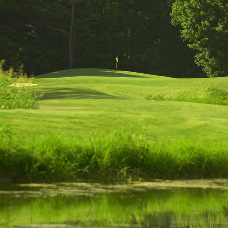 image of golf course 3